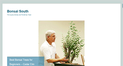 Desktop Screenshot of bonsai-south.com